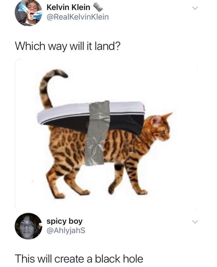vans cat meme - Kelvin Klein Klein Which way will it land? spicy boy This will create a black hole