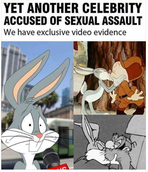 meme - another celebrity accused of sexual assault - Yet Another Celebrity Accused Of Sexual Assault We have exclusive video evidence