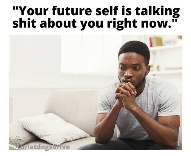 meme - your future self is talking shit about you right now - "Your future self is talking shit about you right now." letdogsdrive