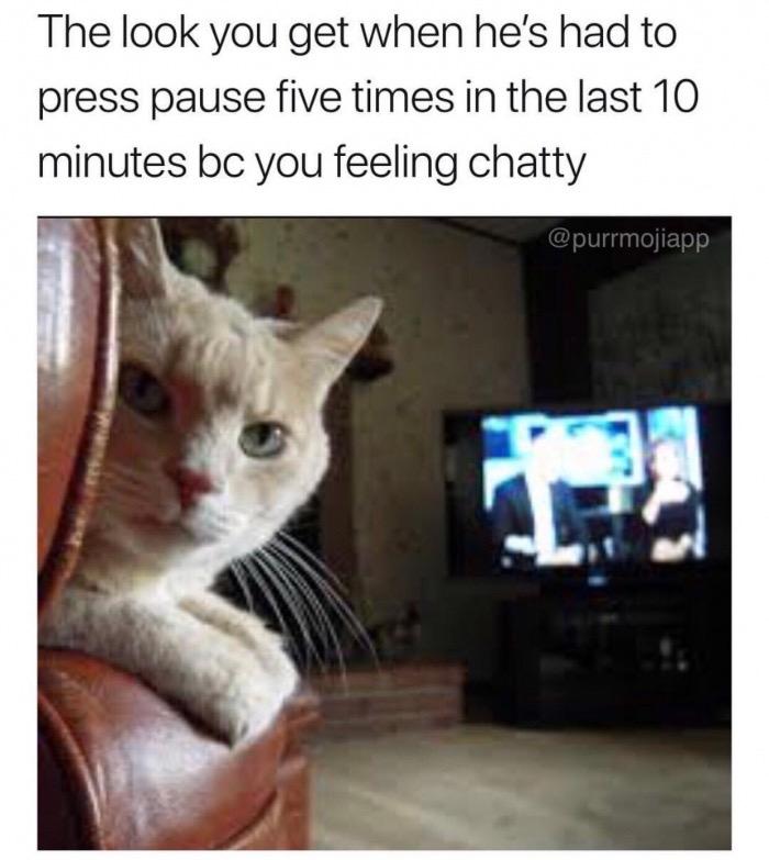 meme - rambo cat - The look you get when he's had to press pause five times in the last 10 minutes bc you feeling chatty