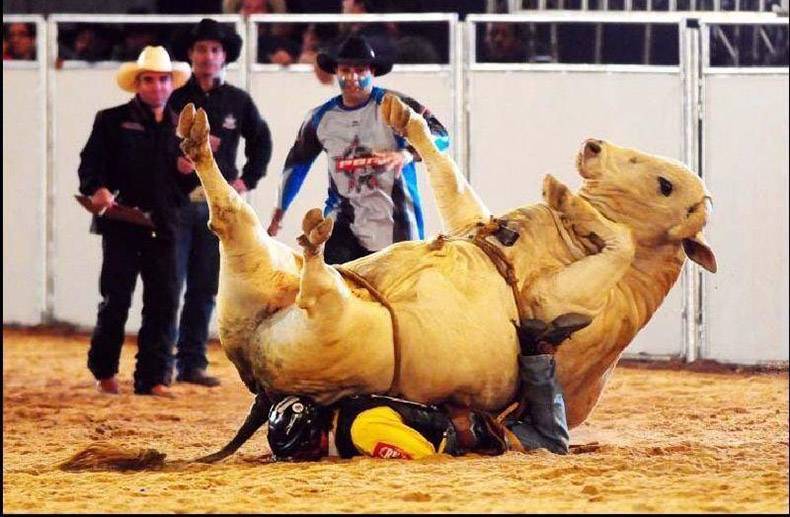 bull riding fail - Tinn