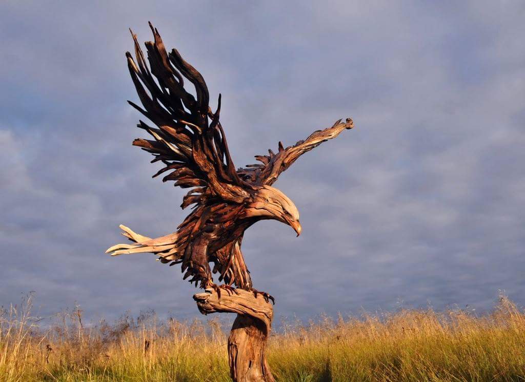 driftwood eagle