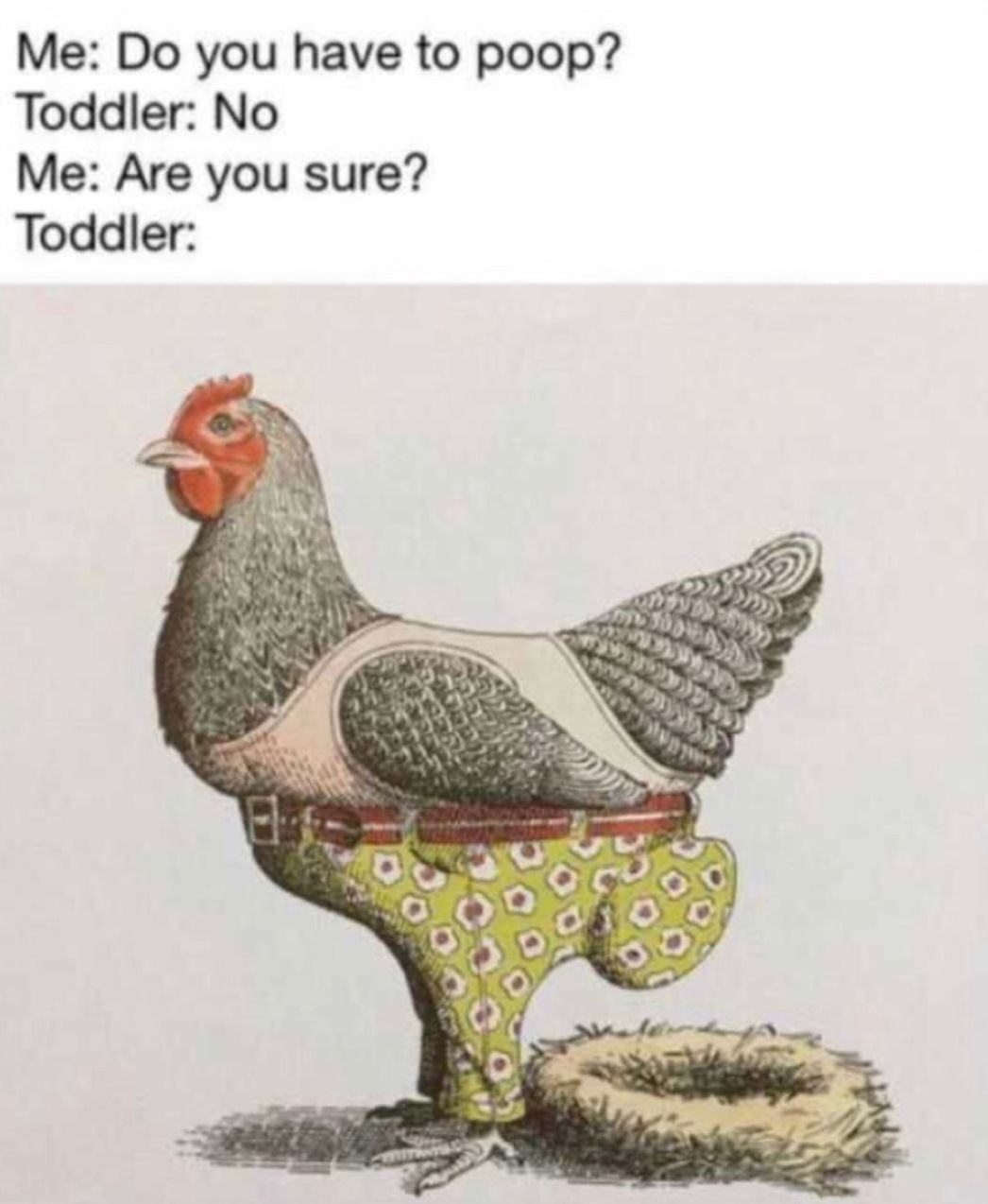 chicken toddler poop meme - Me Do you have to poop? Toddler No Me Are you sure? Toddler