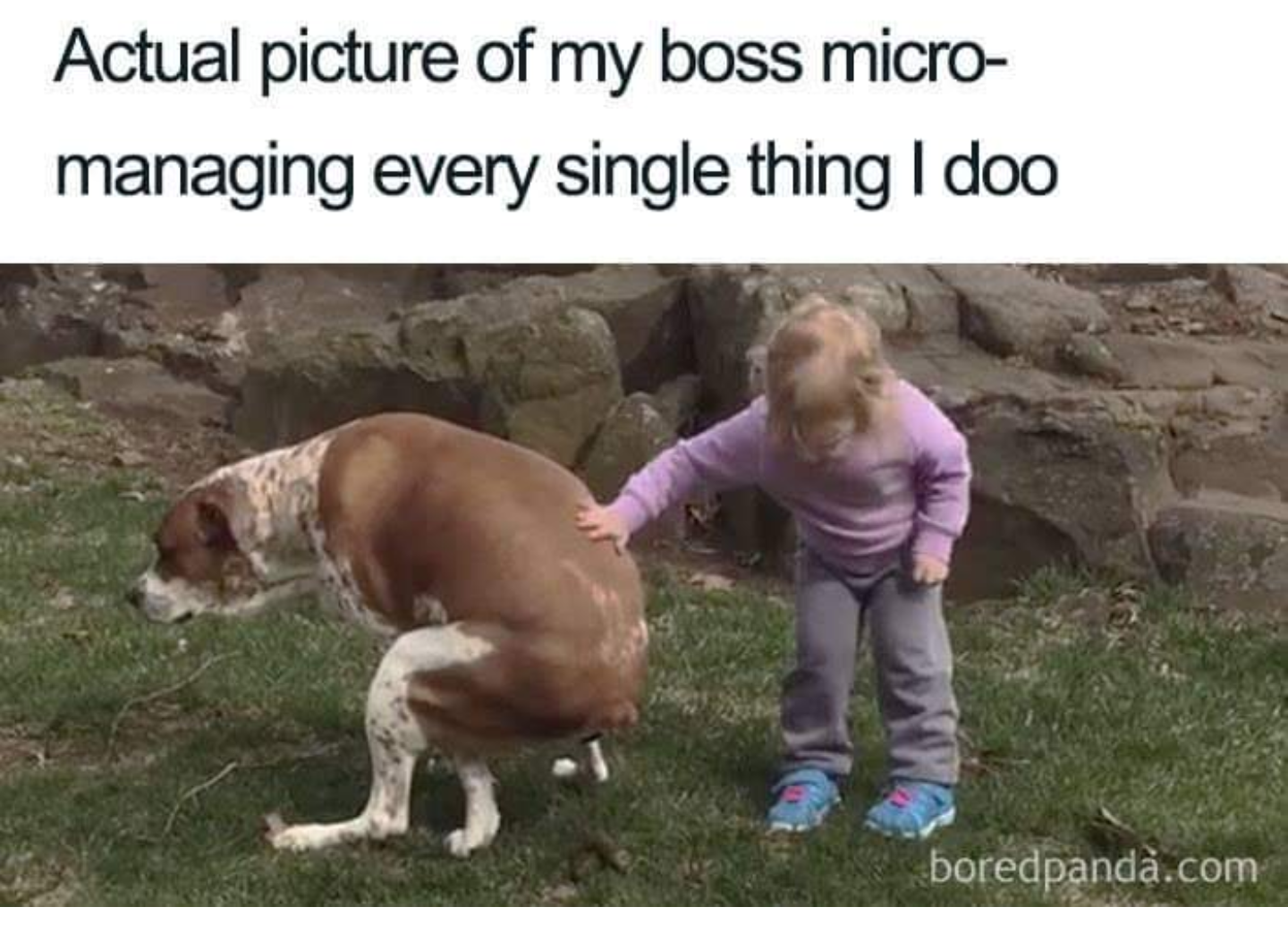 micromanaging boss memes - Actual picture of my boss micro managing every single thing I doo boredpanda.com