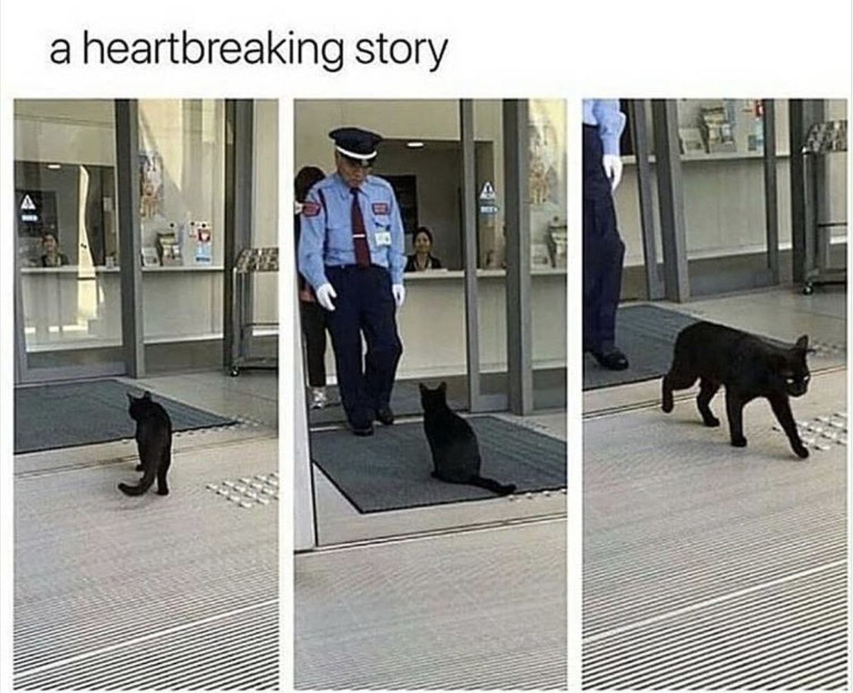 floor - a heartbreaking story