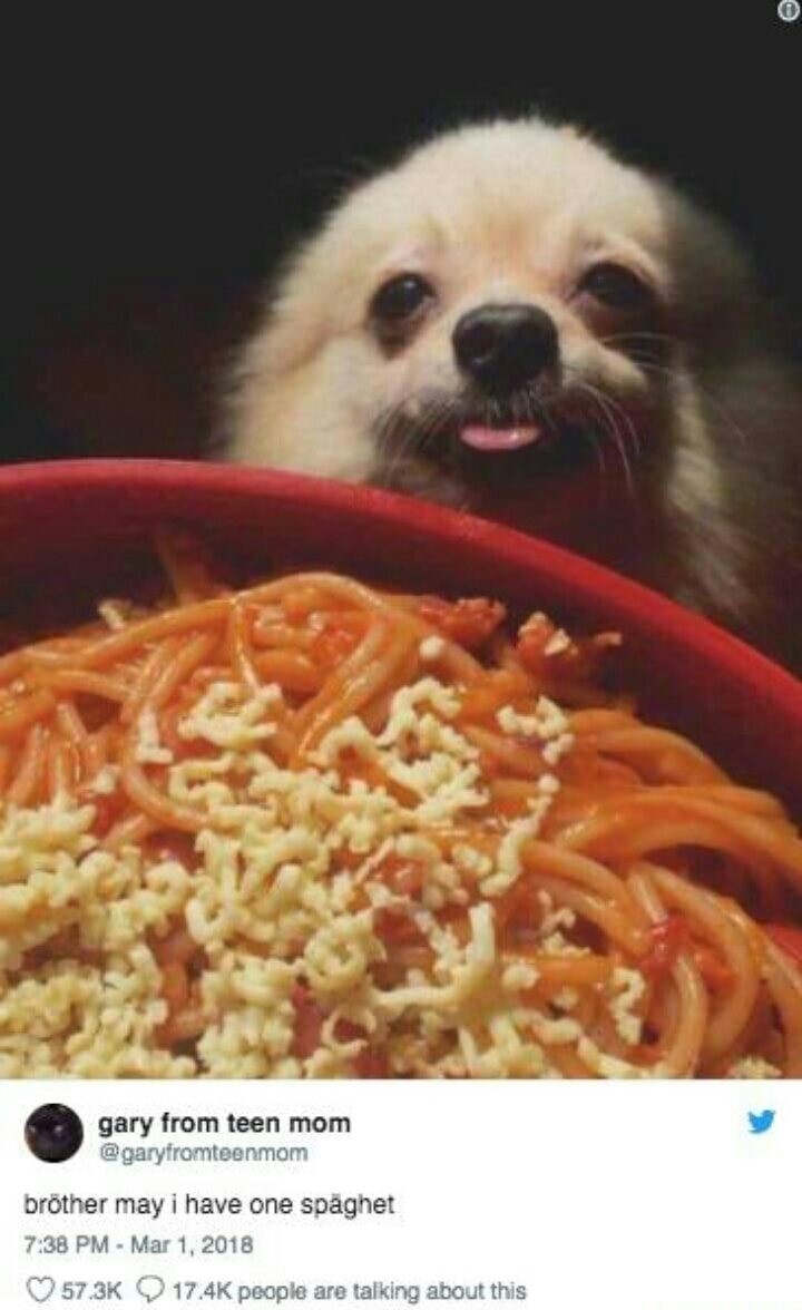 brother may i have one spaghet - gary from teen mom brother may i have one spaghet people are talking about this