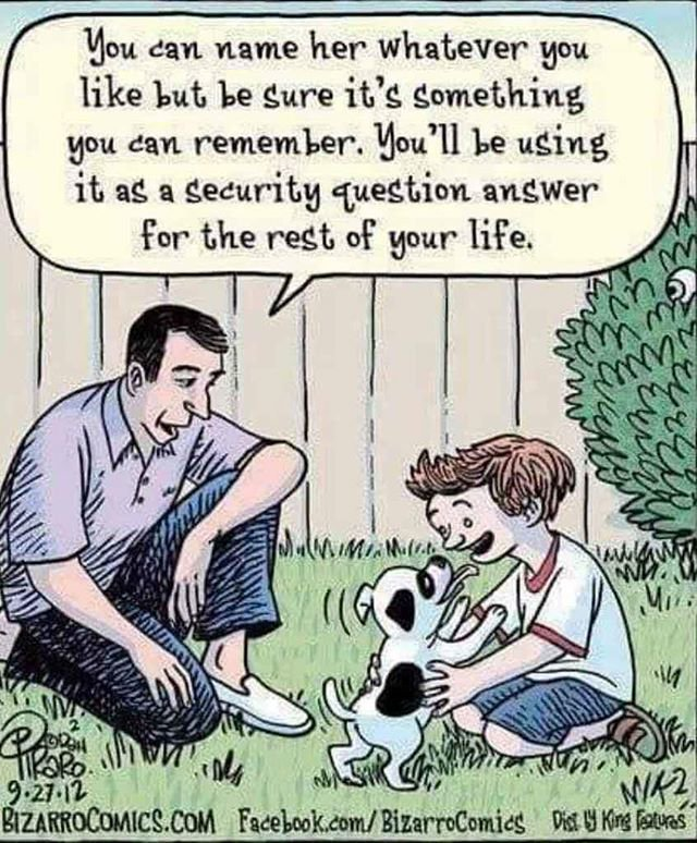 bizarro security question - You can name her whatever you but be sure it's something you can remember. You'll be using it as a security question answer for the rest of your life. lu M.Mn ebo che Mwin 9. Bizarrocomics.Com Facebook.comBizarrocomics Wunn Dis