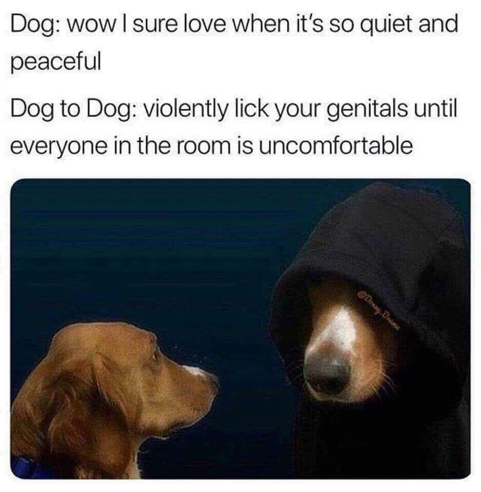 dog to dog pop a fat boner - Dog wow I sure love when it's so quiet and peaceful Dog to Dog violently lick your genitals until everyone in the room is uncomfortable