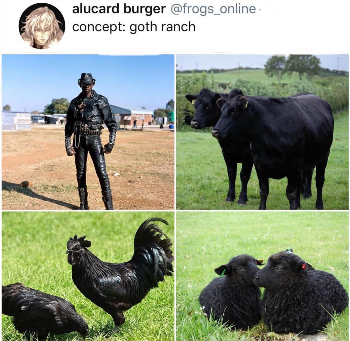 Random pics - goth ranch - alucard burger concept goth ranch