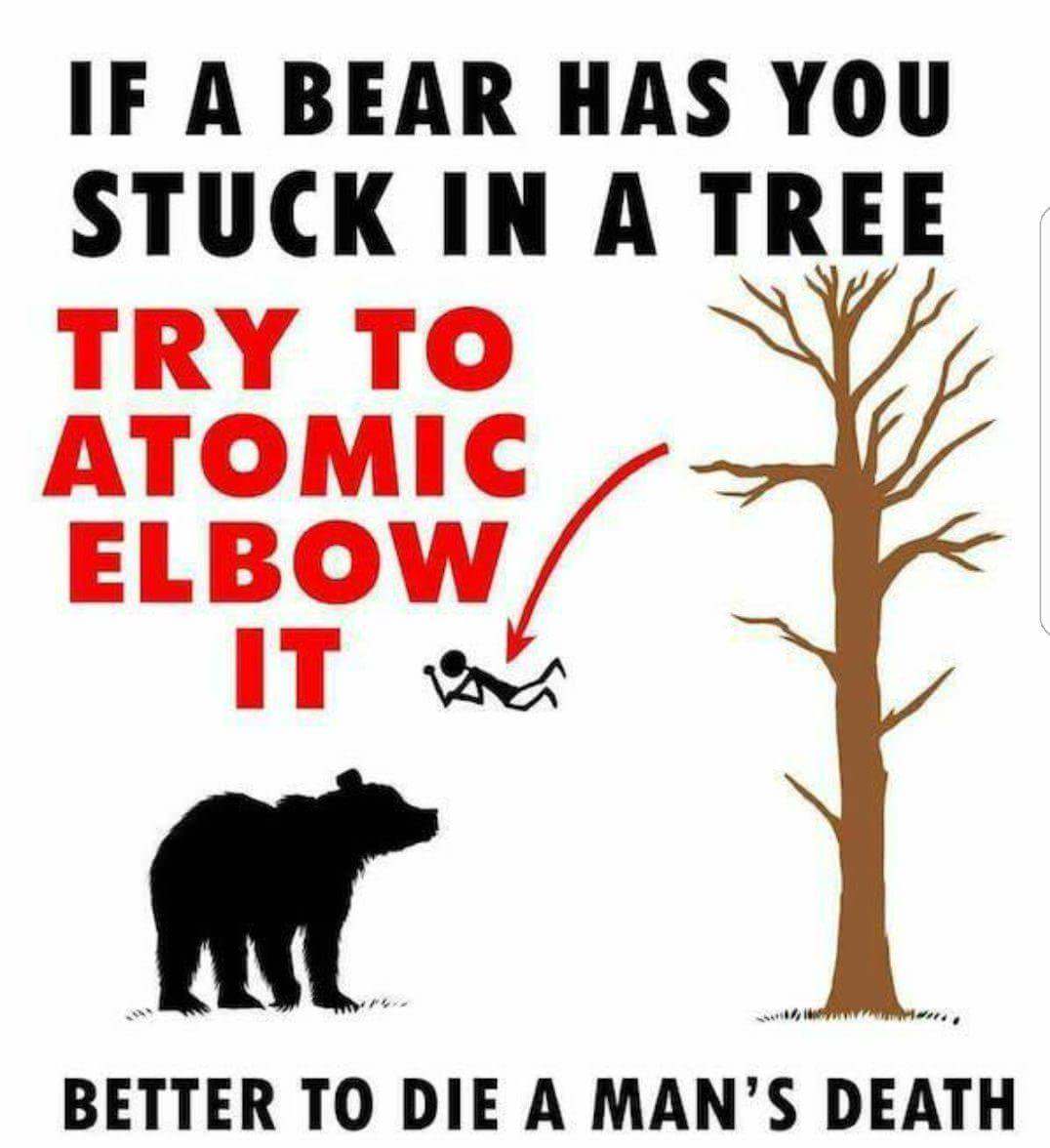 Random pics - if a bear has you stuck - If A Bear Has You Stuck In A Tree Try To Atomic Elbow Better To Die A Man'S Death