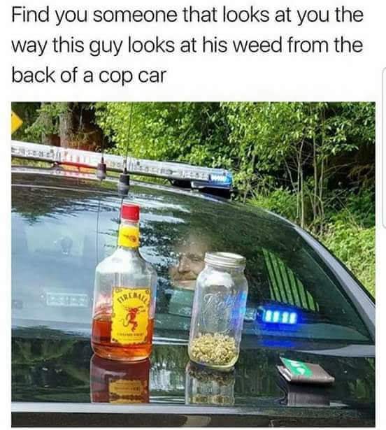Random pics - find you someone that looks at you m - Find you someone that looks at you the way this guy looks at his weed from the back of a cop car Sendi