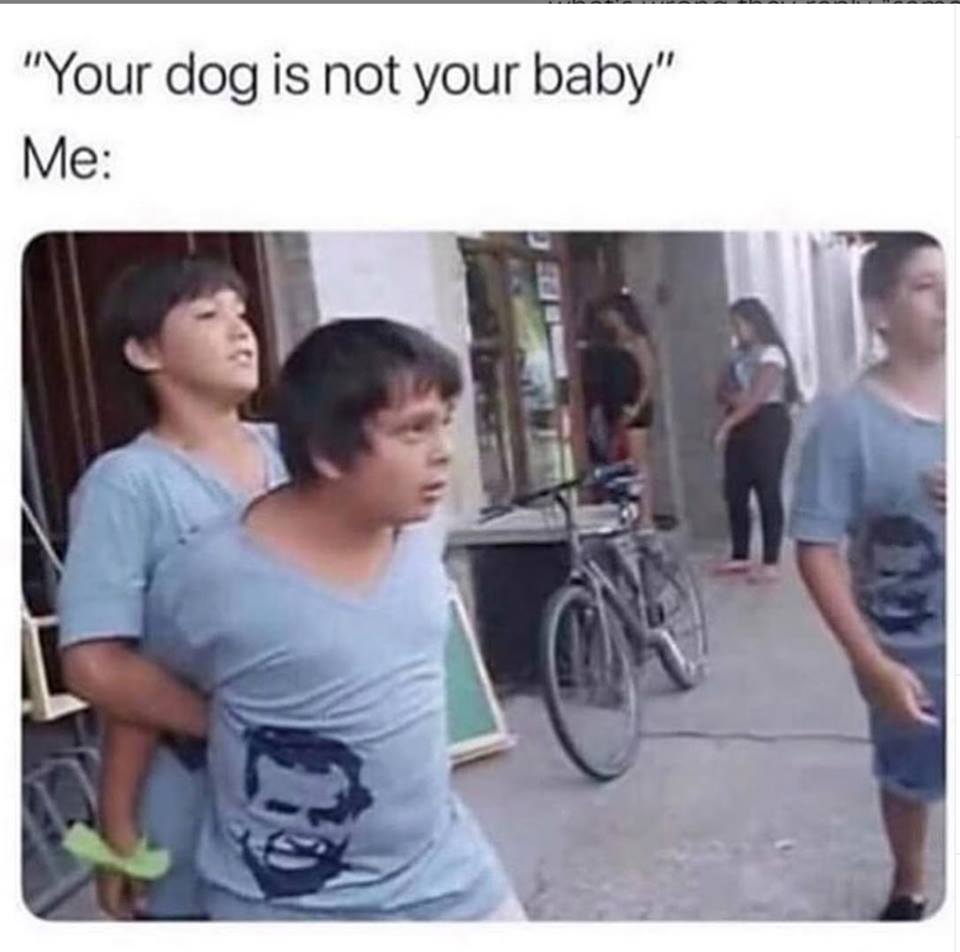 random pics - christian memes reckless love - "Your dog is not your baby" Me