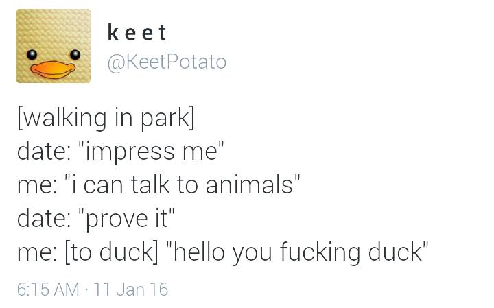 random pics - smile - keet Potato walking in park date "impress me" me "i can talk to animals" date "prove it" me to duck "hello you fucking duck" 11 Jan 16