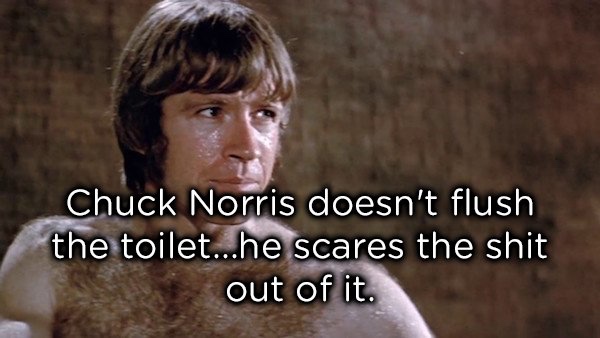 random pics - chuck norris memes - Chuck Norris doesn't flush the toilet...he scares the shit out of it.