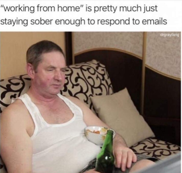 random pics - working from home sober meme - "working from home" is pretty much just staying sober enough to respond to emails drgraytang