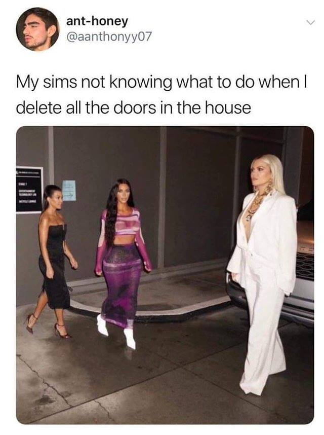 my sims not knowing what to do - anthoney My sims not knowing what to do when I delete all the doors in the house