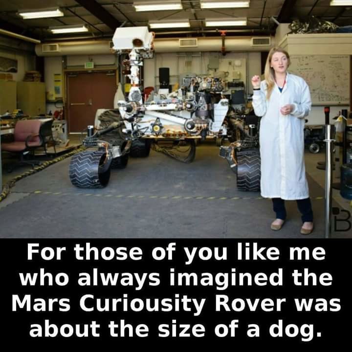 mars curiosity rover size - For those of you me who always imagined the Mars Curiousity Rover was about the size of a dog.