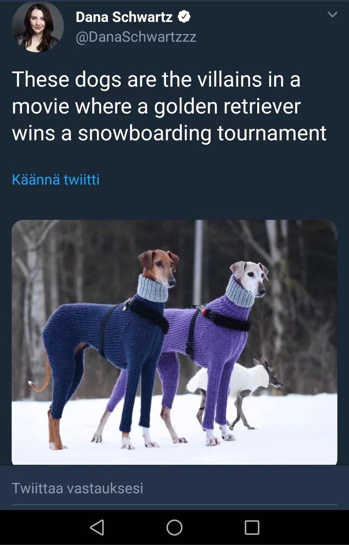 these dogs look like the villains - 3 Da Dana Schwartz These dogs are the villains in a movie where a golden retriever wins a snowboarding tournament Knn twiitti Twiittaa vastauksesi 0 0 0