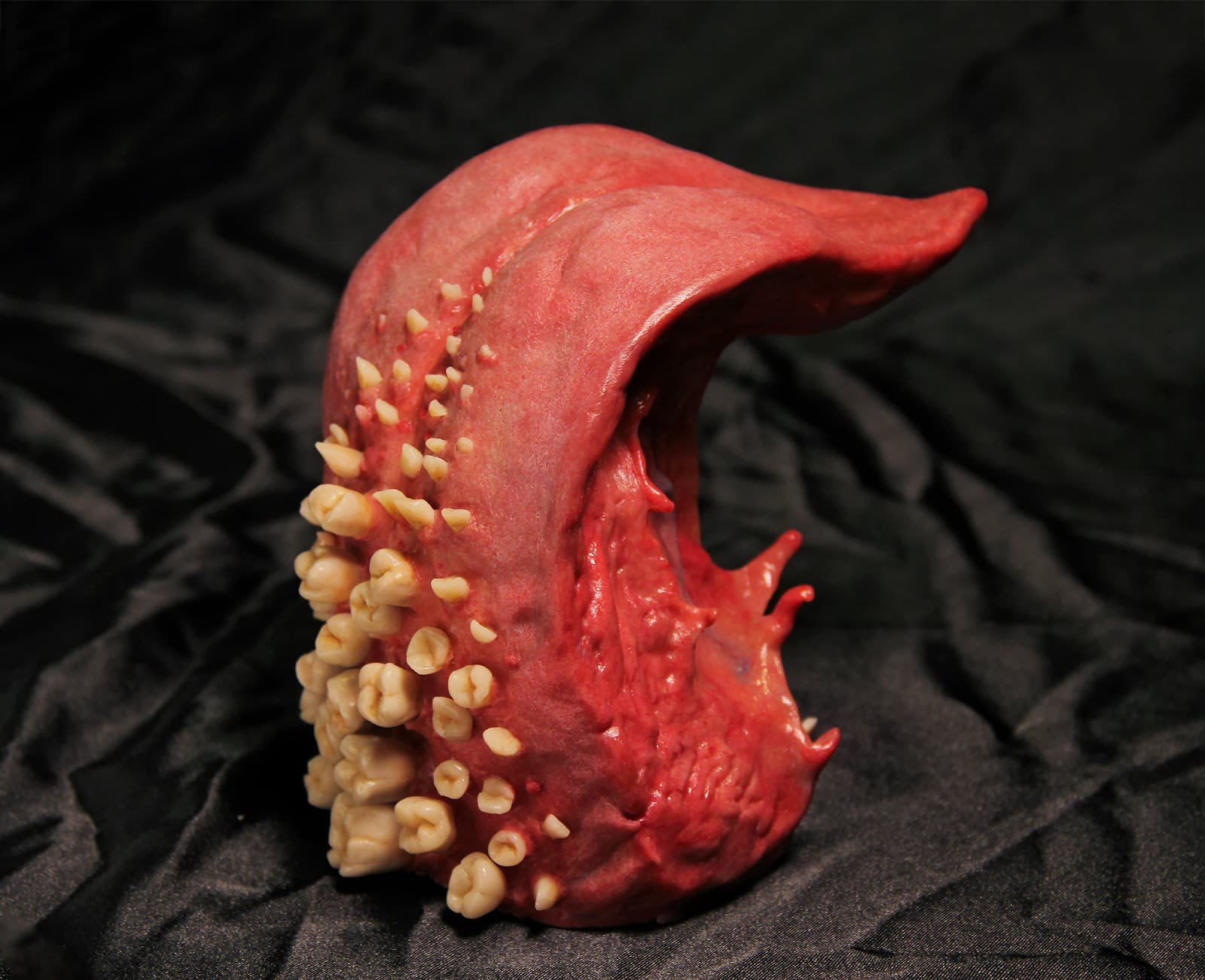 Disturbing sculpture of a tongue with teeth by Jonathan Payne