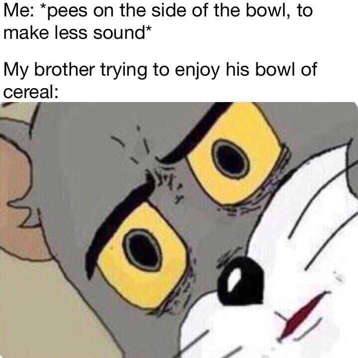 everyone disliked that meme - Me pees on the side of the bowl, to make less sound My brother trying to enjoy his bowl of cereal
