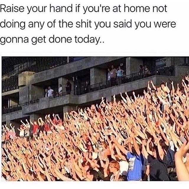 random pics - raise your hand if you - Raise your hand if you're at home not doing any of the shit you said you were gonna get done today..