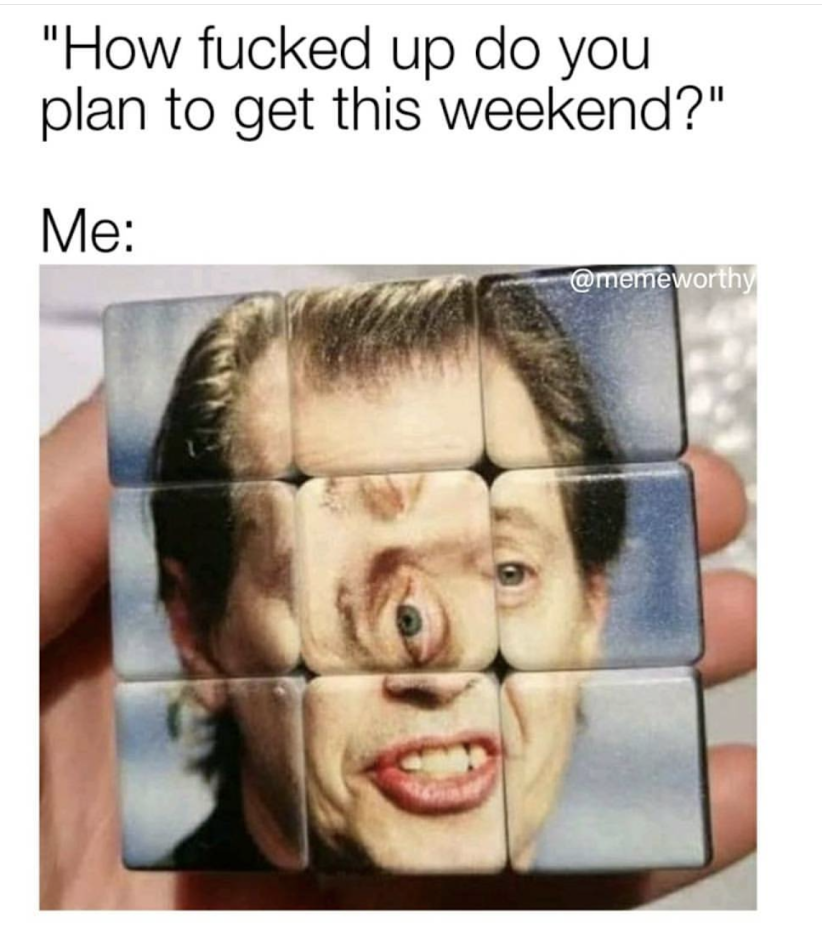 random pics - steve buscemi - "How fucked up do you plan to get this weekend?" Me worthy