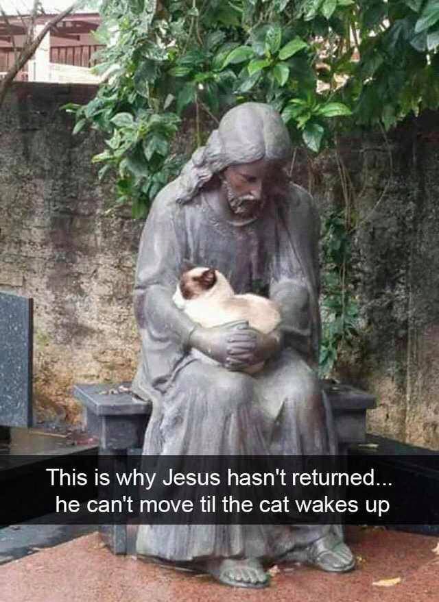 random pics - jesus hasn t returned he can t move till the cat wakes up - This is why Jesus hasn't returned... he can't move til the cat wakes up