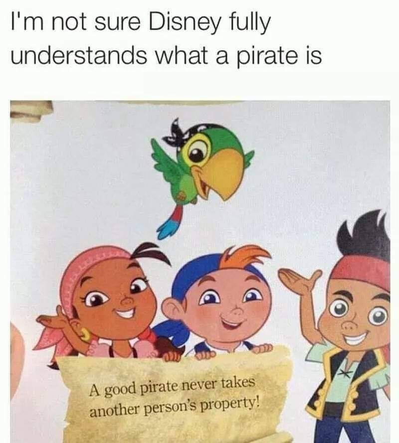 random pics - good pirate meme - I'm not sure Disney fully understands what a pirate is A good pirate never takes another person's property!