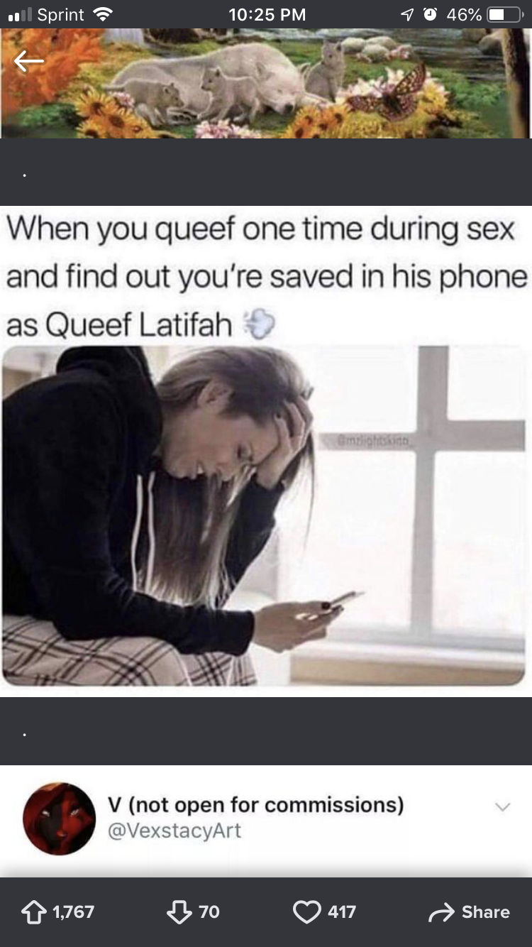 queef latifah meme - Sprint 40 46% When you queef one time during sex and find out you're saved in his phone as Queef Latifah V not open for commissions 11,767 3700 417