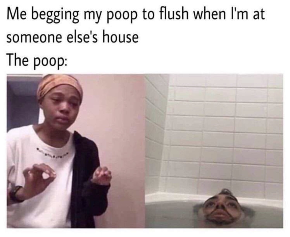 me begging my poop to flush - Me begging my poop to flush when I'm at someone else's house The poop