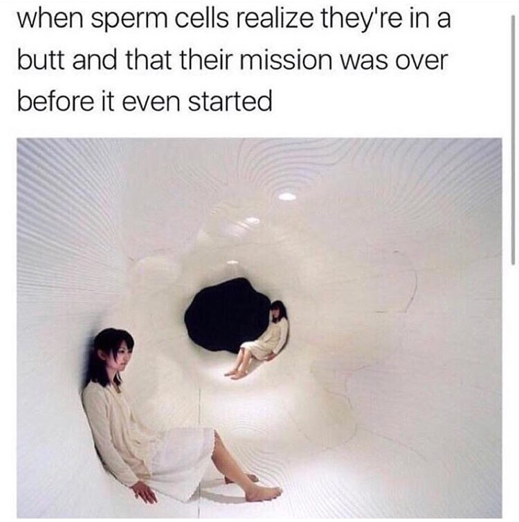 funny memes - sperm cells realize they re - when sperm cells realize they're in a butt and that their mission was over before it even started