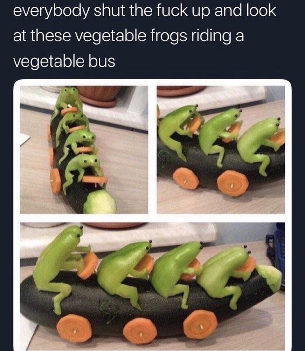 meme of everybody shut the fuck up and look at these vegetable frogs riding a vegetable bus