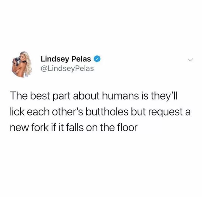 meme of Joke - Lindsey Pelas The best part about humans is they'll lick each other's buttholes but request a new fork if it falls on the floor