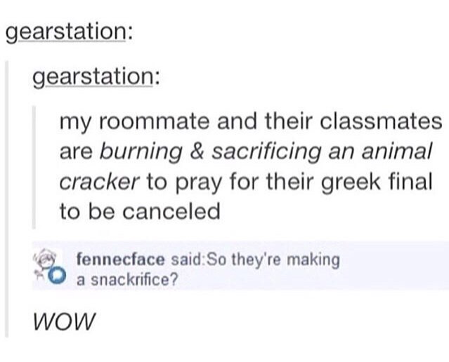 meme of document - gearstation gearstation my roommate and their classmates are burning & sacrificing an animal cracker to pray for their greek final to be canceled fennecface said So they're making a snackrifice? Wow