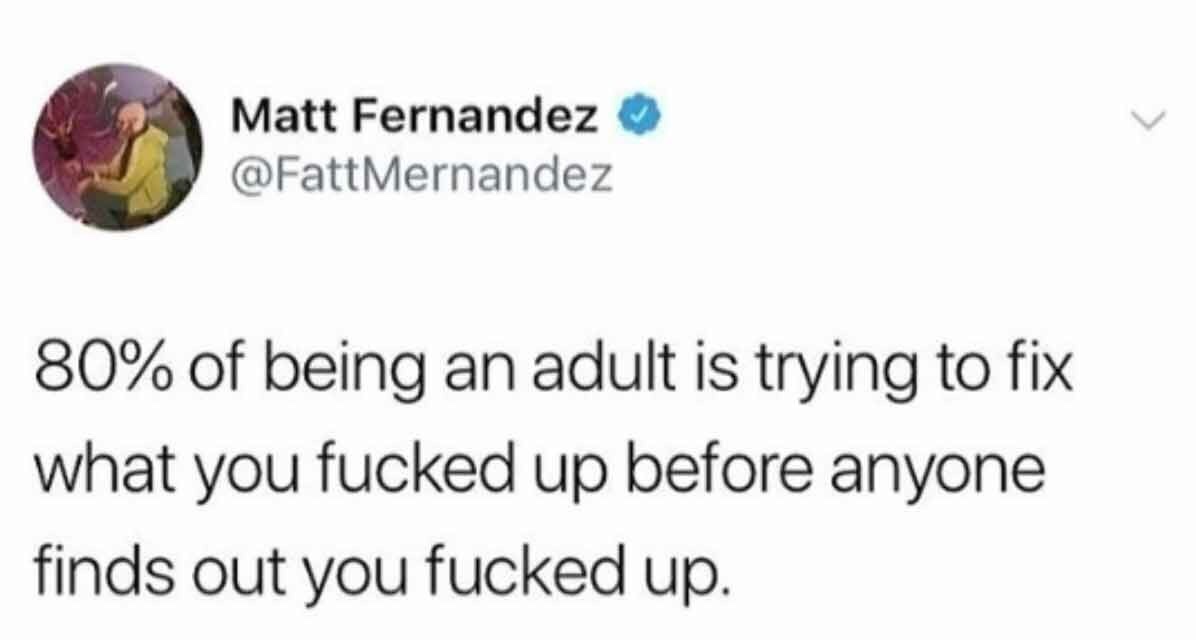meme of diagram - Matt Fernandez Mernandez 80% of being an adult is trying to fix what you fucked up before anyone finds out you fucked up.