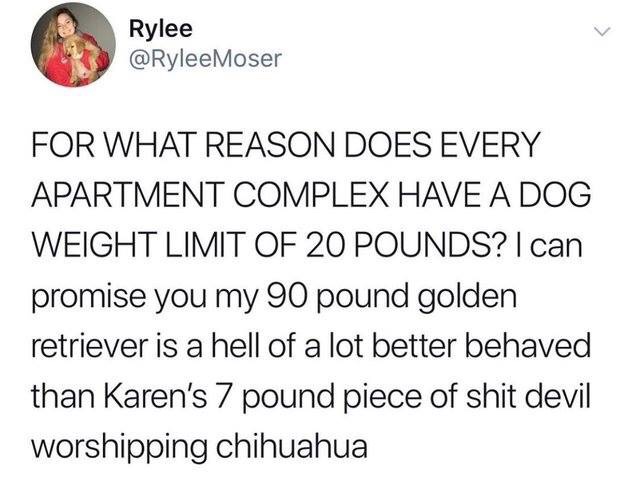 meme of waffle house waffle home - Rylee For What Reason Does Every Apartment Complex Have A Dog Weight Limit Of 20 Pounds? I can promise you my 90 pound golden retriever is a hell of a lot better behaved than Karen's 7 pound piece of shit devil worshippi