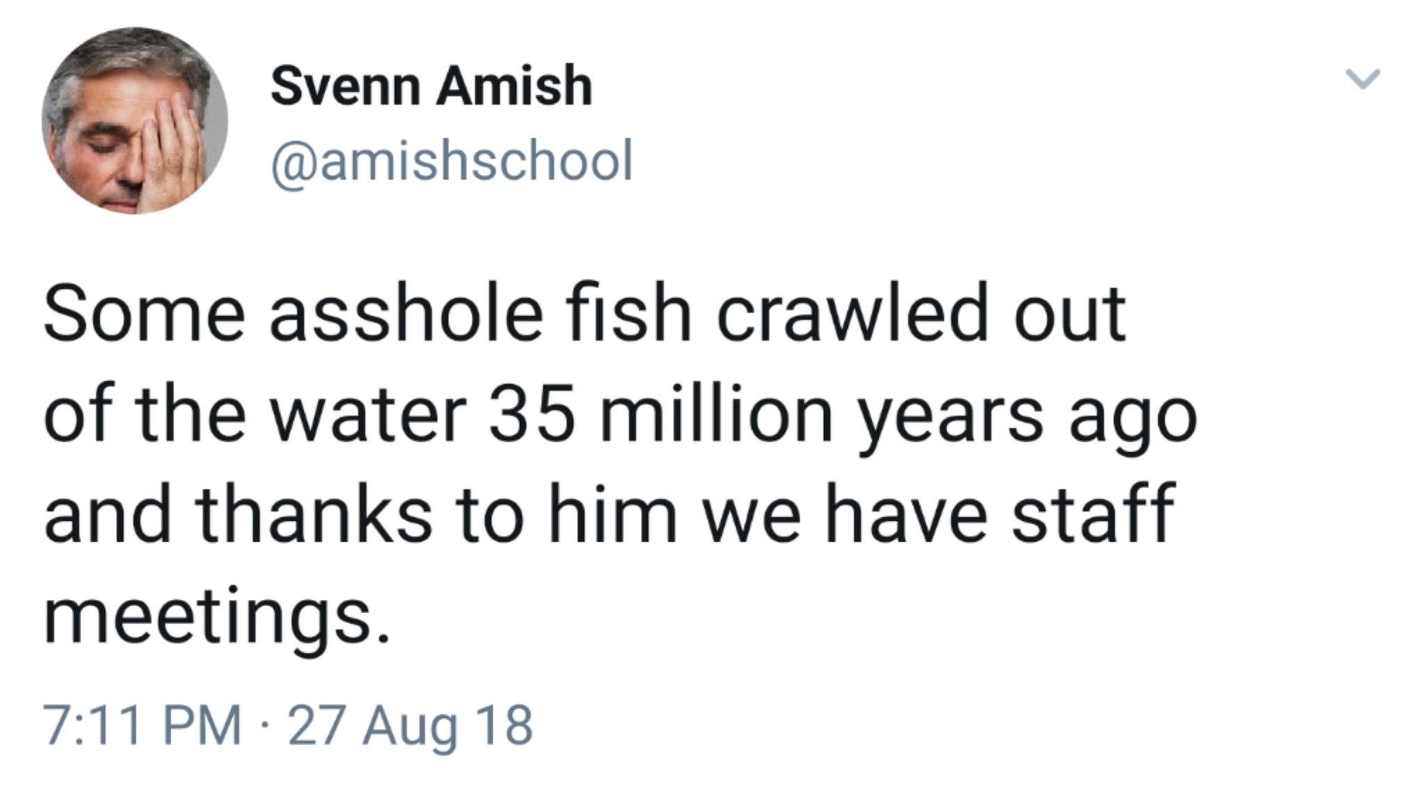 random pics - asshole fish staff meetings - Svenn Amish Some asshole fish crawled out of the water 35 million years ago and thanks to him we have staff meetings. 27 Aug 18