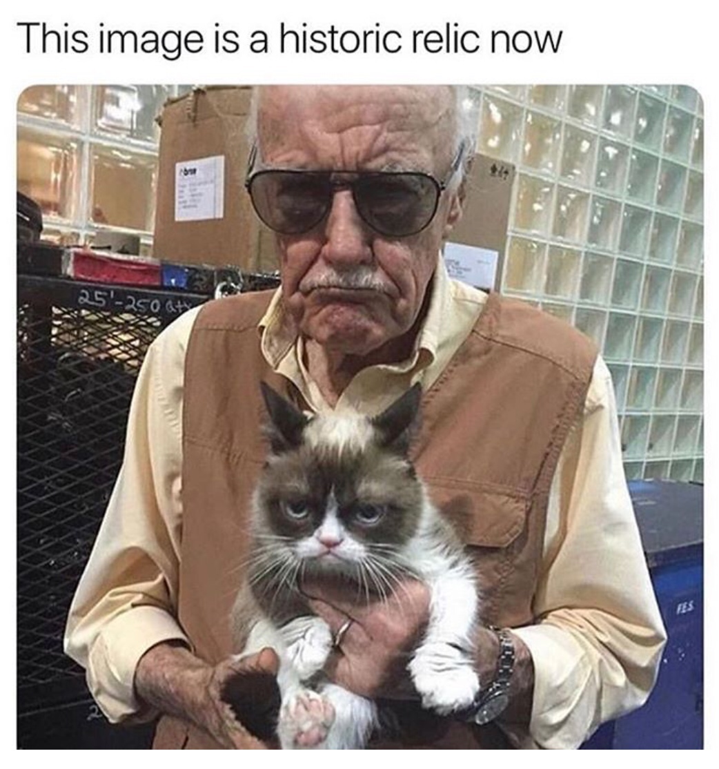 random pics - grumpy cat stan lee - This image is a historic relic now 25250