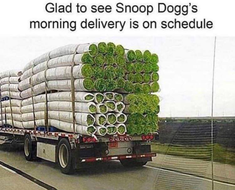 funny stoner memes - Glad to see Snoop Dogg's morning delivery is on schedule lo 20
