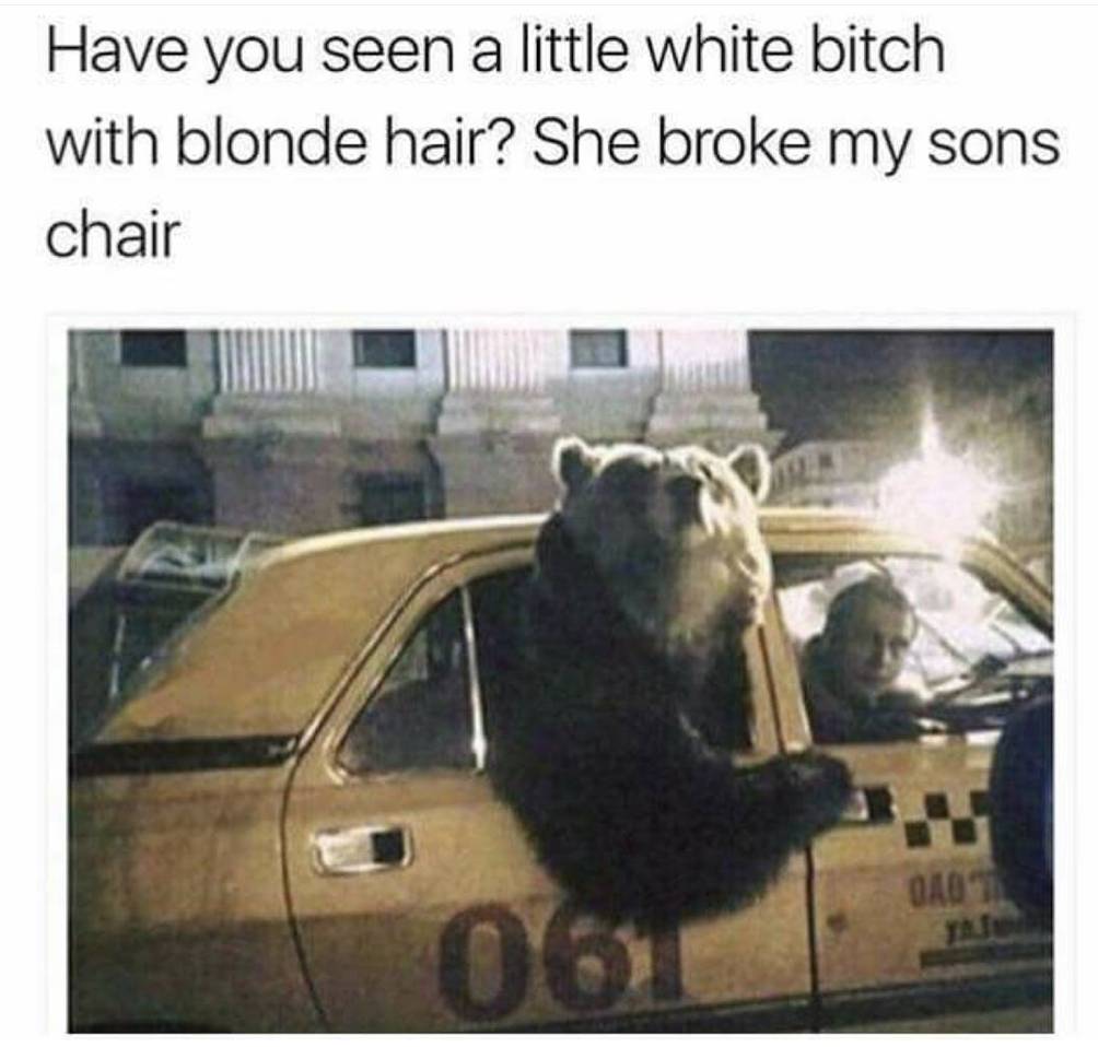 goldilocks meme - Have you seen a little white bitch with blonde hair? She broke my sons chair