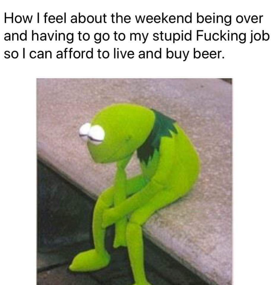 random memes - meme of How I feel about the weekend being over and having to go to my stupid Fucking job so I can afford to live and buy beer.