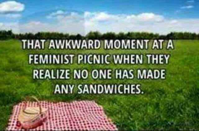 random memes - meme of feminist picnic meme - That Awkward Moment At A Feminist Picnic When They Realize No One Has Made Any Sandwiches.