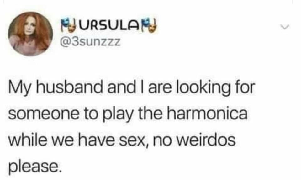 random memes - meme of ace family racist - Ursular My husband and I are looking for someone to play the harmonica while we have sex, no weirdos please.