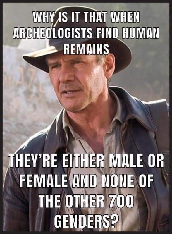 random memes - meme of indiana jones and the kingdom - Why Is It That When Archeologists Find Human Remains They'Re Either Male Or Female And None Of The Other 700 Genders?