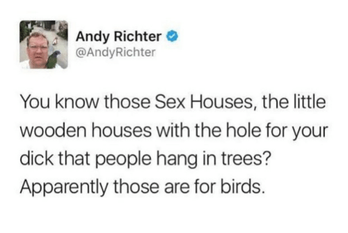 random memes - meme of chuck e cheese memes - Andy Richter Richter You know those Sex Houses, the little wooden houses with the hole for your dick that people hang in trees? Apparently those are for birds.