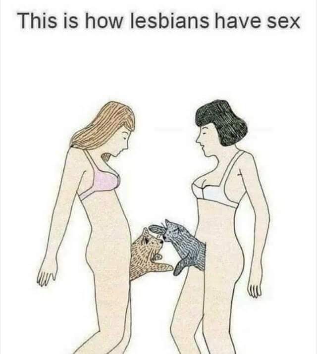 have lesbians can sex - This is how lesbians have sex