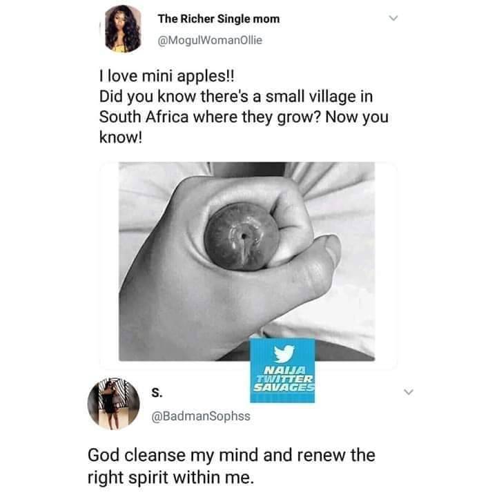 pics and memes - mini apples in africa - The Richer Single mom Ollie I love mini apples!! Did you know there's a small village in South Africa where they grow? Now you know! Naija Twitter Savages God cleanse my mind and renew the right spirit within me.