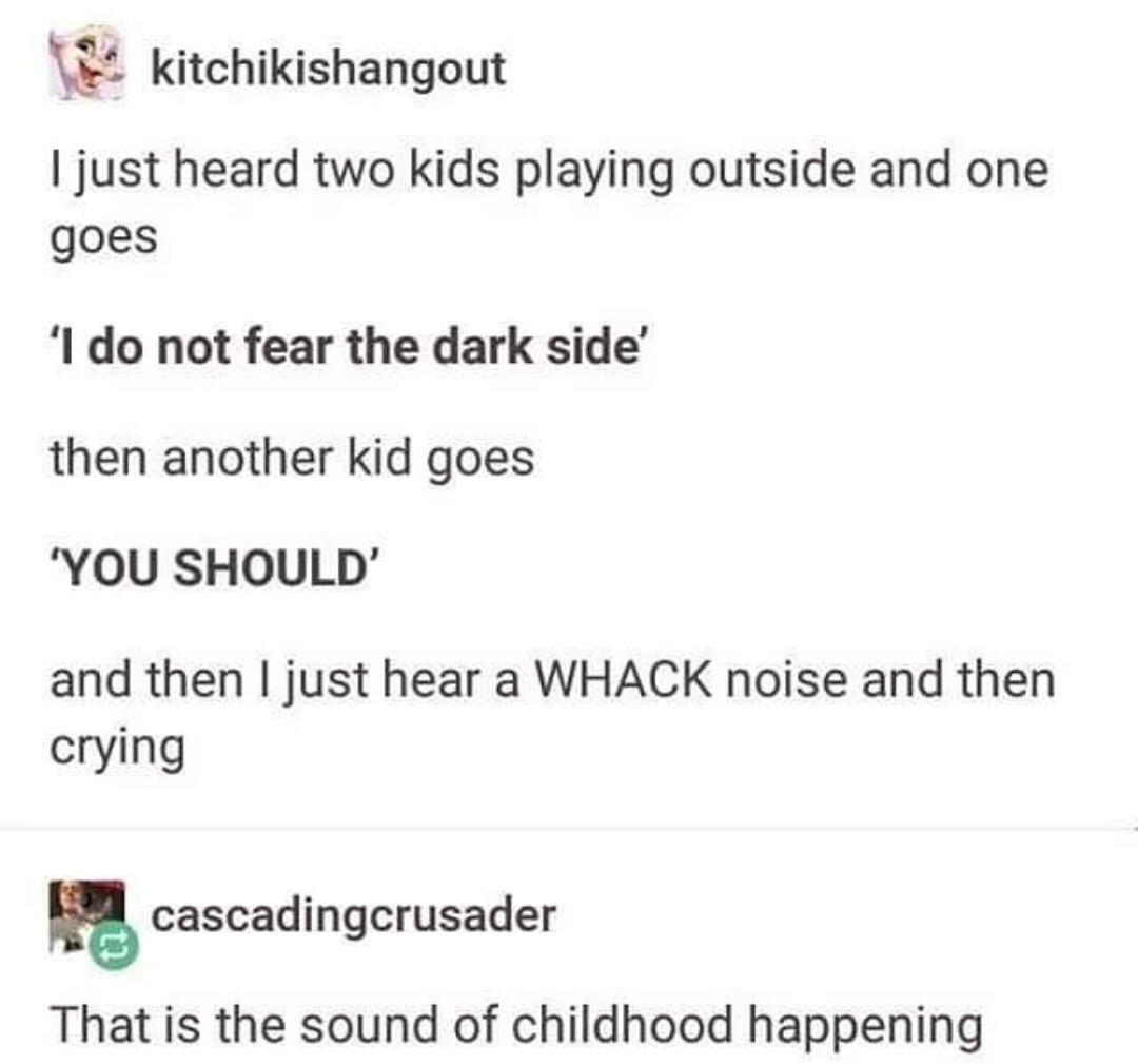 pics and memes - document - kitchikishangout I just heard two kids playing outside and one goes 'I do not fear the dark side' then another kid goes 'You Should' and then I just hear a Whack noise and then crying cascadingcrusader That is the sound of chil