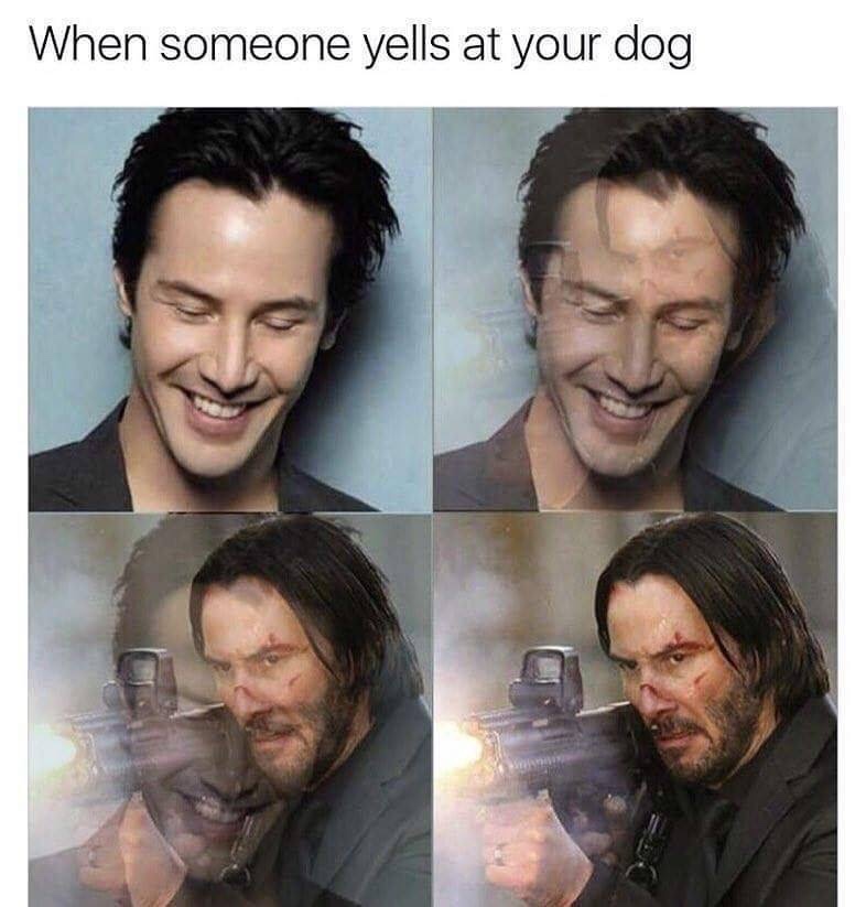 pics and memes - thanos john wick meme - When someone yells at your dog