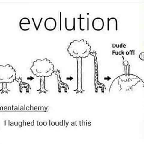 pics and memes - evolution funny - evolution Dude Fuck off! nentalalchemy I laughed too loudly at this